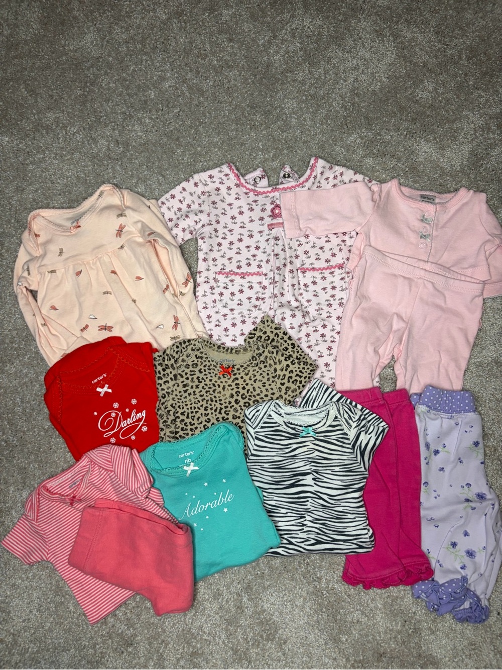 Carters bundle